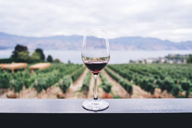 wineyard